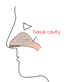 Nasal pack layered into cavity.